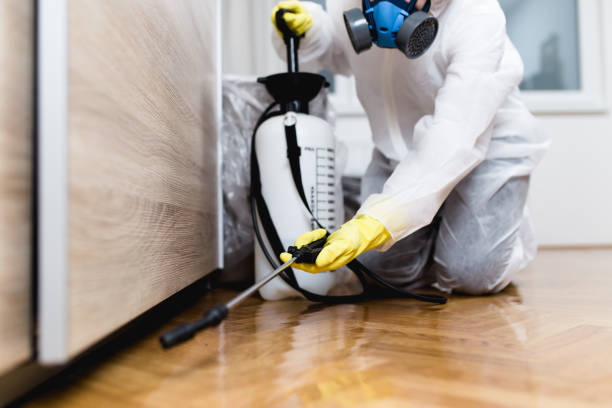 Best Pest Removal Services  in Bellevue, OH