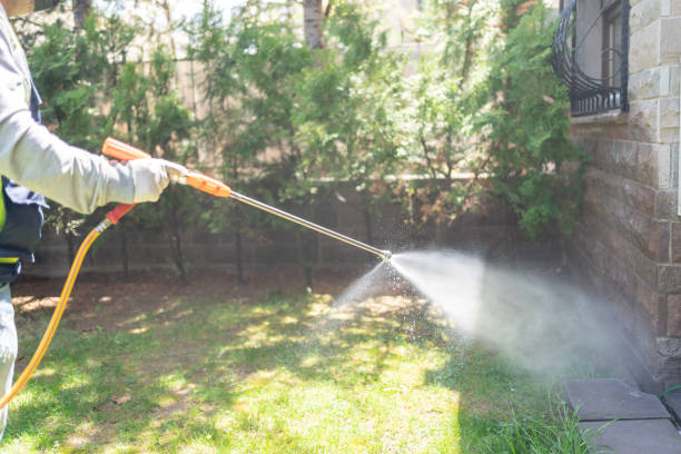 Best Mosquito Control Services  in Bellevue, OH